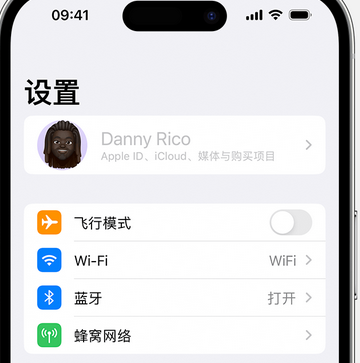 娄底appleID维修服务iPhone设置中Apple ID显示为灰色无法使用