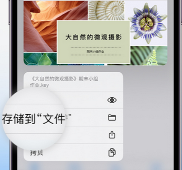 娄底apple维修中心分享iPhone文件应用中存储和找到下载文件