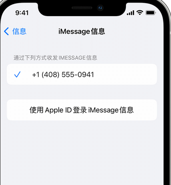 娄底apple维修iPhone上无法正常发送iMessage信息 