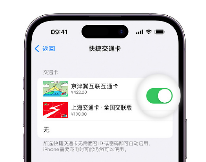 娄底apple维修点分享iPhone上更换Apple Pay快捷交通卡手绘卡面 