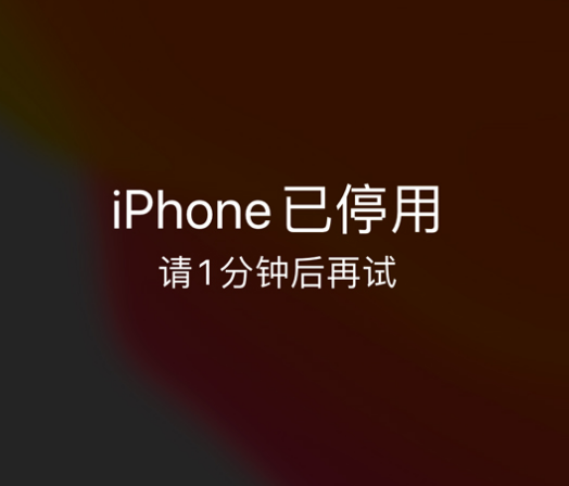 娄底苹果手机维修分享:iPhone 显示“不可用”或“已停用”怎么办？还能保留数据吗？ 