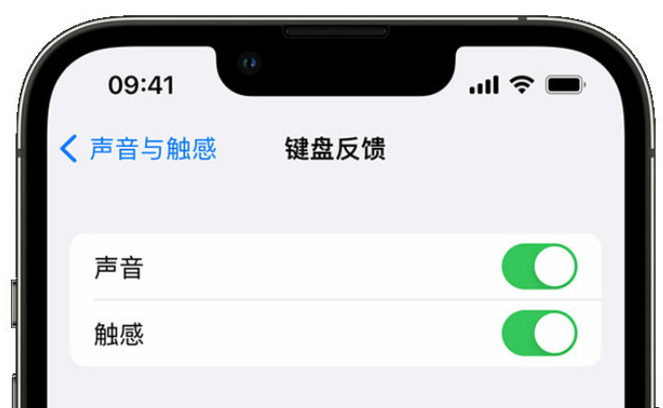 娄底苹果手机维修分享iPhone 14触感键盘使用方法 