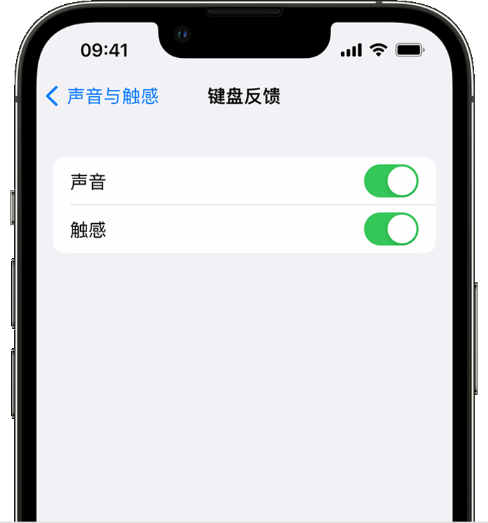 娄底苹果14维修店分享如何在 iPhone 14 机型中使用触感键盘 