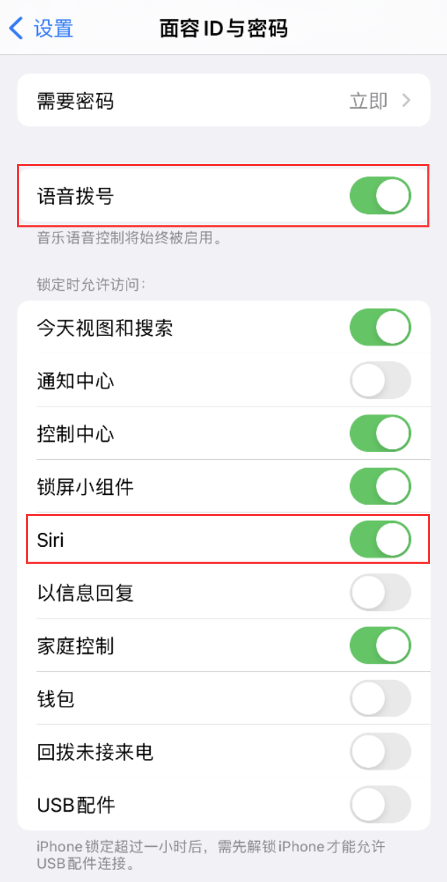 娄底苹果维修网点分享不解锁 iPhone 的情况下通过 Siri 拨打电话的方法 