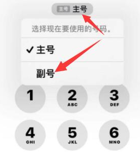 娄底苹果14维修店分享iPhone 14 Pro Max使用副卡打电话的方法 