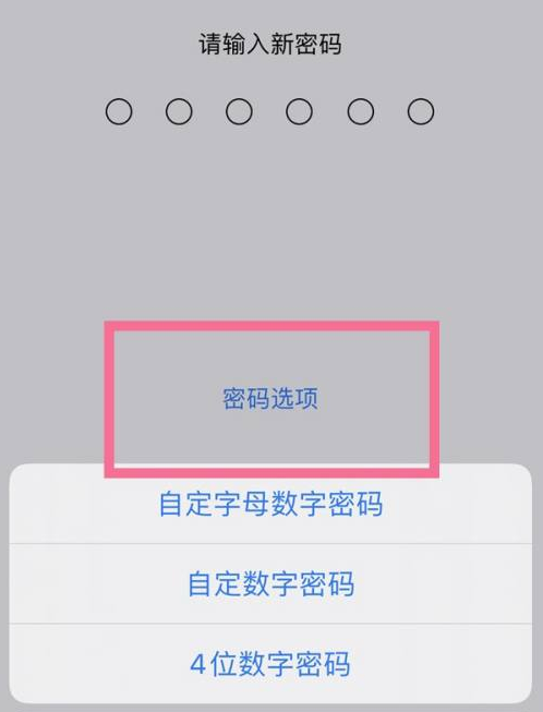 娄底苹果14维修分享iPhone 14plus设置密码的方法 