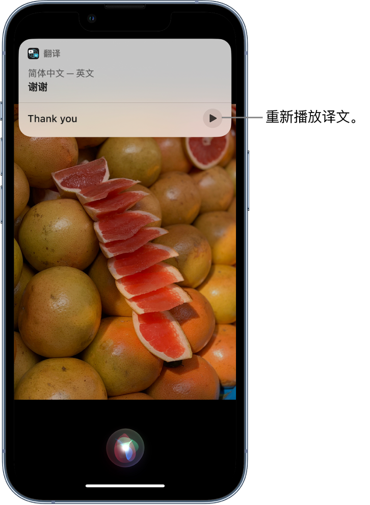 娄底苹果14维修分享 iPhone 14 机型中使用 Siri：了解 Siri 能帮你做什么 