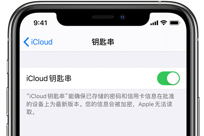 娄底苹果手机维修分享在 iPhone 上开启 iCloud 钥匙串之后会储存哪些信息 