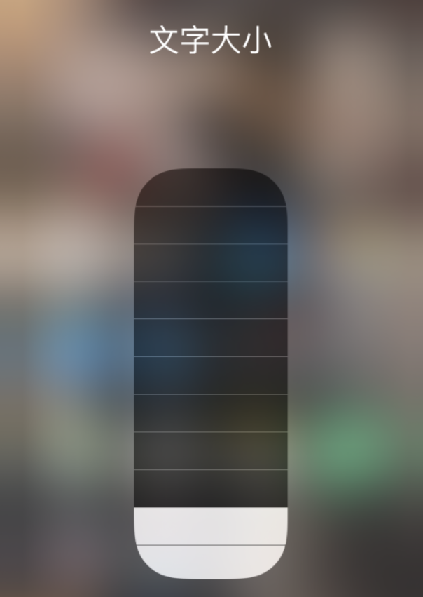 娄底苹果手机维修分享小技巧：在 iPhone 控制中心快速调节字体大小 