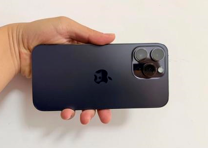 娄底苹果维修点分享iPhone 14 Pro Max黑屏少见故障盘点 